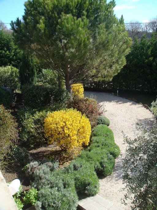 L'Olivier Apartment Grignan Luaran gambar